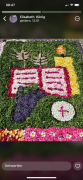 img_9051.png